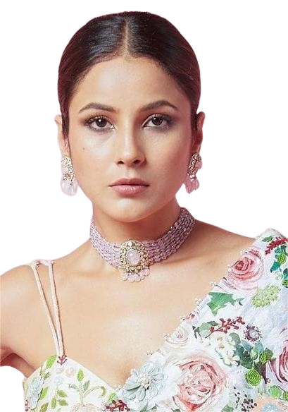 Shehnaaz Gill